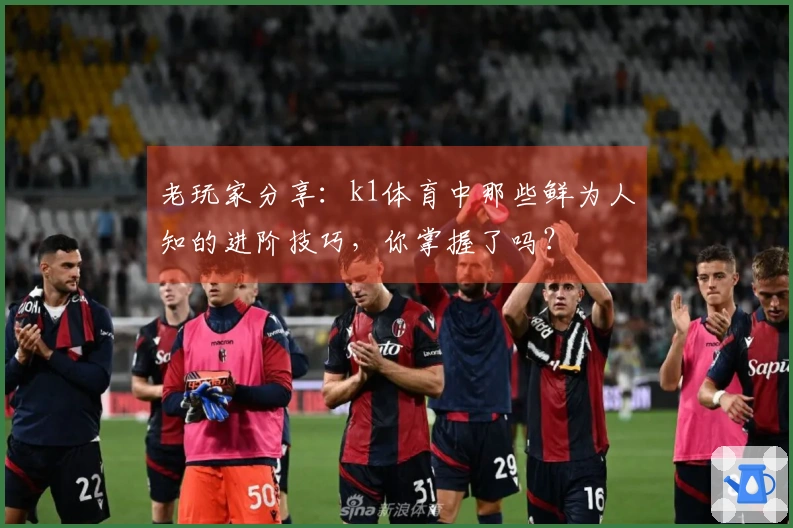 老玩家分享:k1体育中那些鲜为人知的进阶技巧,你掌握了吗?